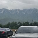 카페델피노 인근 이미지