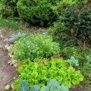 당재민박 이미지