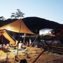 미술관옆 이미지