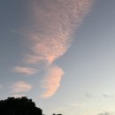 언니언니김밥 이미지