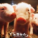 만복농장 노컷뉴스