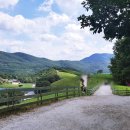 강림목장 이미지