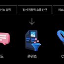 사파리마케팅