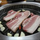 토종흑돼지식당 티스토리