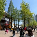 서울체육관 | 현역가왕2 서울 콘서트 후기 _ 실내체육관 플로어석 시야