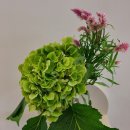 동백미장원 이미지