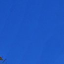 퍼스트로직 - 25594 | 퍼스트로직