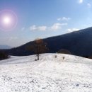 광일목장 이미지