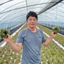 세빈농장 이미지