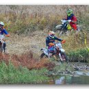 국제오토바이 이미지