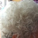 영해의료기상사 이미지