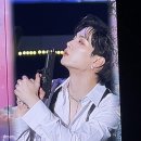 엘리트의상실