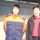 정호목장 이미지