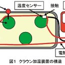 상순이네 하우스 이미지