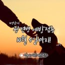 금광동물병원 이미지