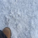 스키요카츠 | 기록이 쌓이면 뭐든 된다