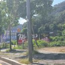 백옥대로4 | 짬뽕지존 용인처인점 깔끔하고 얼큰한 한 그릇 후기