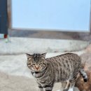 공임나라 대구상리점 이미지