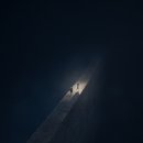 애니멀 패밀리 이미지