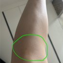 니도 | <오리에나 컴프레션 데일리 삭스> 니삭스 압박스타킹 러닝 압박양말 내돈내산 후기