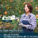 매일사과