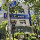 장미앨범사진기획 이미지