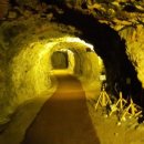 송해농장 이미지