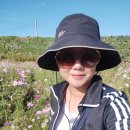 북천숯불갈비 | 경남하동 가을여행 북천 코스모스꽃 축제기간 주차...나들이 광양 숯불닭갈비 닭구이 내돈내산 맛집후기