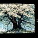 아프로PC방 이미지