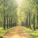 고흥군 보건소 건강증진센터 이미지