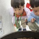 승범농장 Daum카페