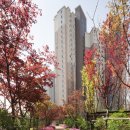 건축사사무소 루트 이미지