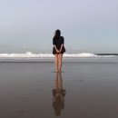 상기농장 | [호주 브리즈번 워홀] 블루베리 농장 일상 &amp; 콥스하버 해변 후기