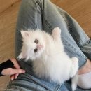 예송동물병원 이미지