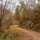 묵계초등학교 이미지