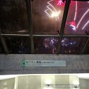 소망밧데리 | 마카오 야경투어 코스 소개 및 실후기, 꿀팁