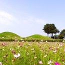 의성조문국사적지 이미지