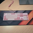 콕스피씨방 이미지