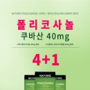 뉴질랜드1642대구범어점