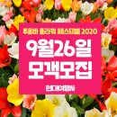 2018-주073 | 호주 최고 인생샷 스팟!! 투움바 꽃 축제 후기 및 향후일정