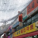 다솜건강원