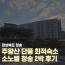 청송 | 경북 청송여행 숙소추천 소노벨 청송 2박 후기