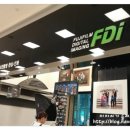 후지FDI