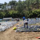 일대농장 이미지