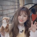 하냥