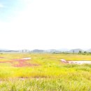 포동빗물배수펌프장 이미지