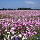 덕산온천관광단지 이미지