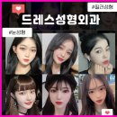 스타일성형외과의원 이미지