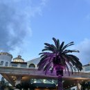 제주외가 | 제주 소노벨 스위트 스탠다드 더블/취사 내돈내산 솔직후기