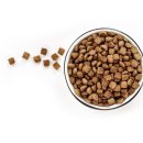 고양이집사 이미지